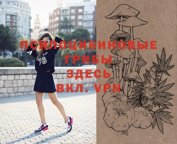 МДПВ Алексеевка
