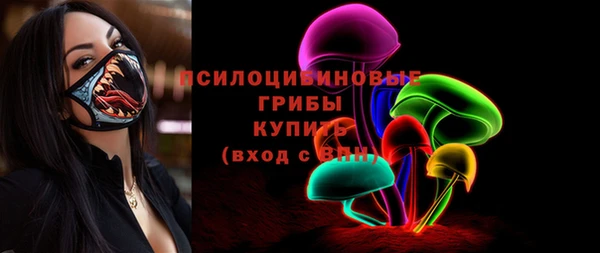 МДПВ Алексеевка