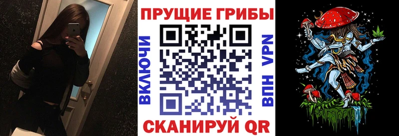 Галлюциногенные грибы Psilocybine cubensis  как найти закладки  Орлов 