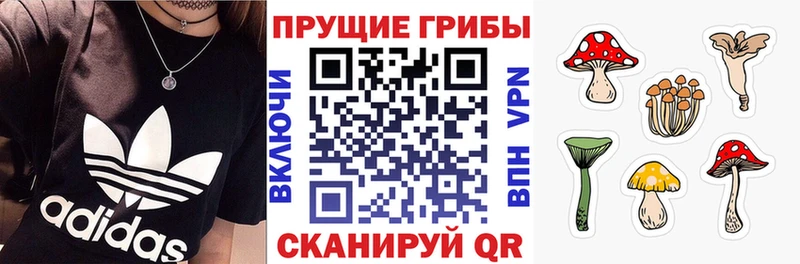 Галлюциногенные грибы Psilocybine cubensis Орлов